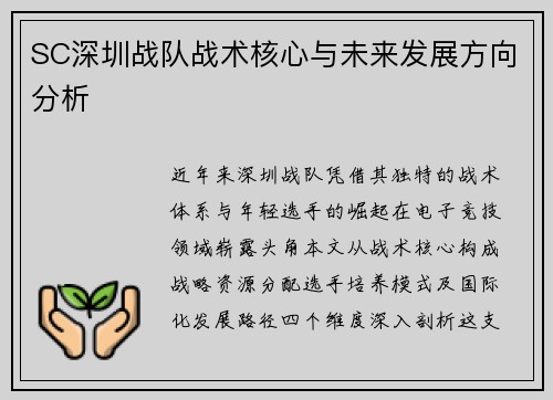SC深圳战队战术核心与未来发展方向分析
